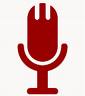 mic icon